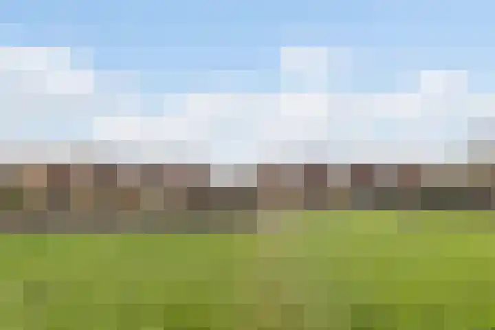 Zalmwater 23 Barendrecht thumbnail 37