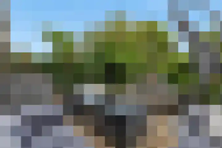 Zalmwater 95 Barendrecht thumbnail 32
