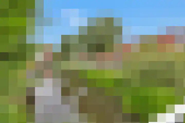 Zalmwater 95 Barendrecht thumbnail 36