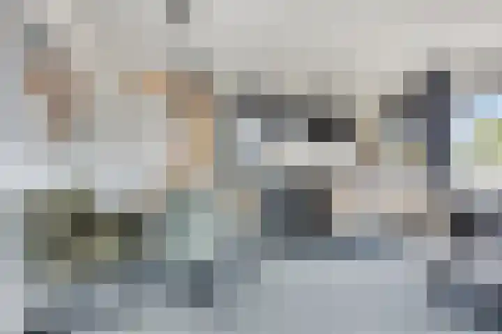 Zaltbommelseweg 34 Oss