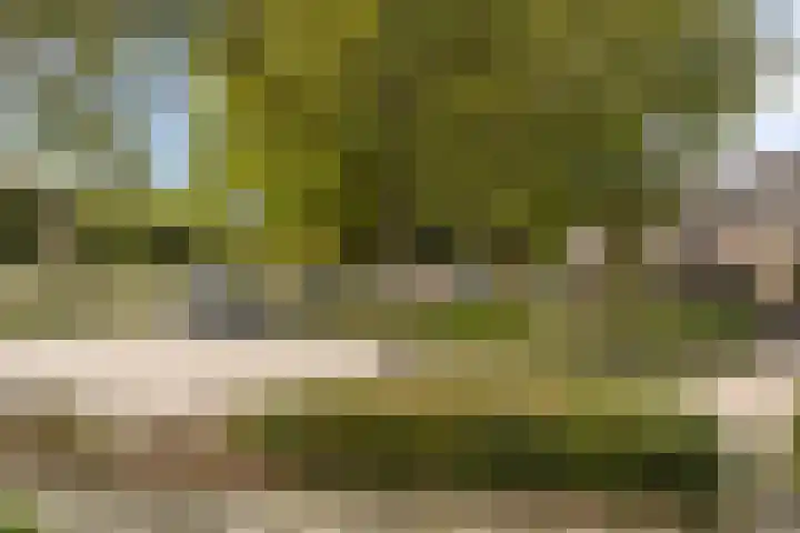 Zandacker 54 Oisterwijk thumbnail 29
