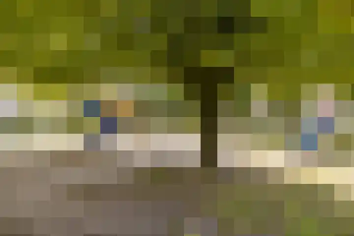 Zandacker 54 Oisterwijk thumbnail 30
