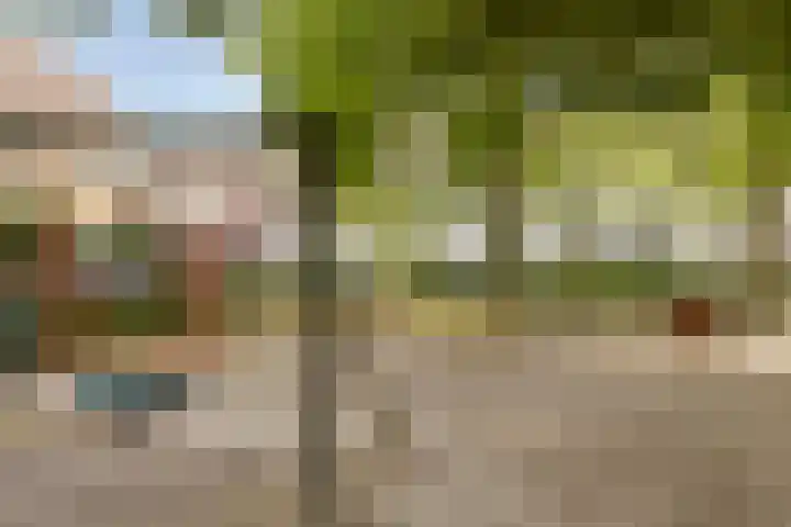 Zandacker 54 Oisterwijk thumbnail 31