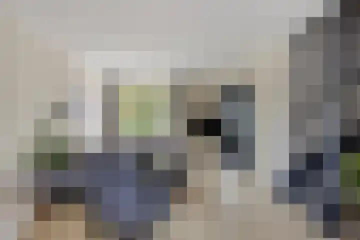 Zandacker 54 Oisterwijk thumbnail 5