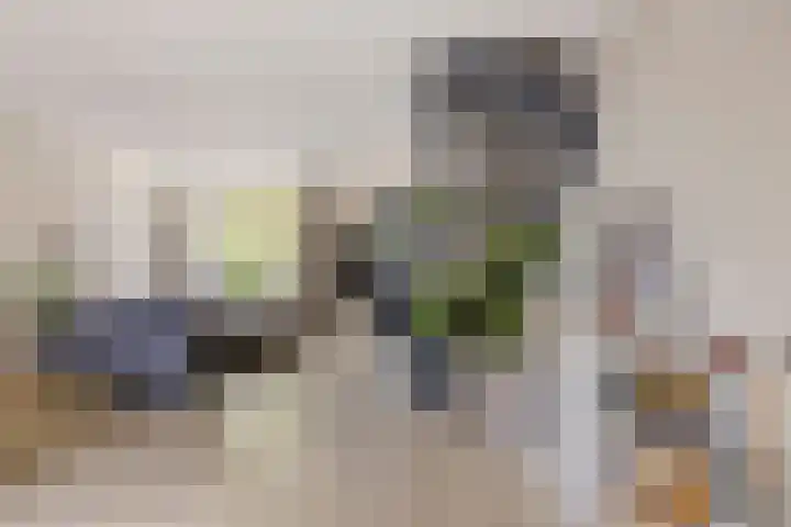 Zandacker 54 Oisterwijk thumbnail 7