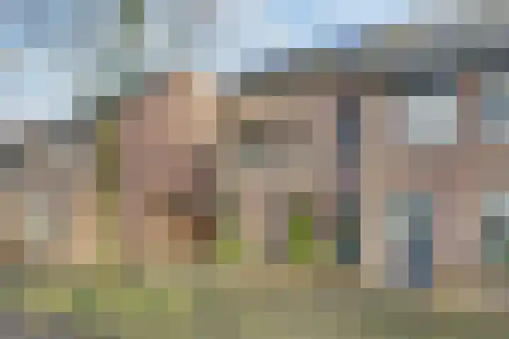 Zandakker 11 Venray thumbnail 34