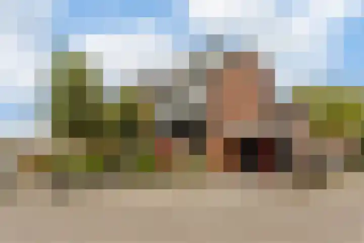 Zandakker 12 Heerde