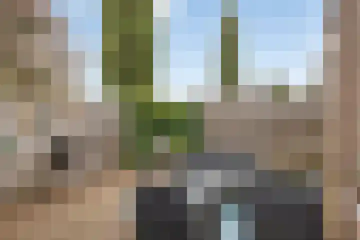 Zandakker 57 Heerde thumbnail 19