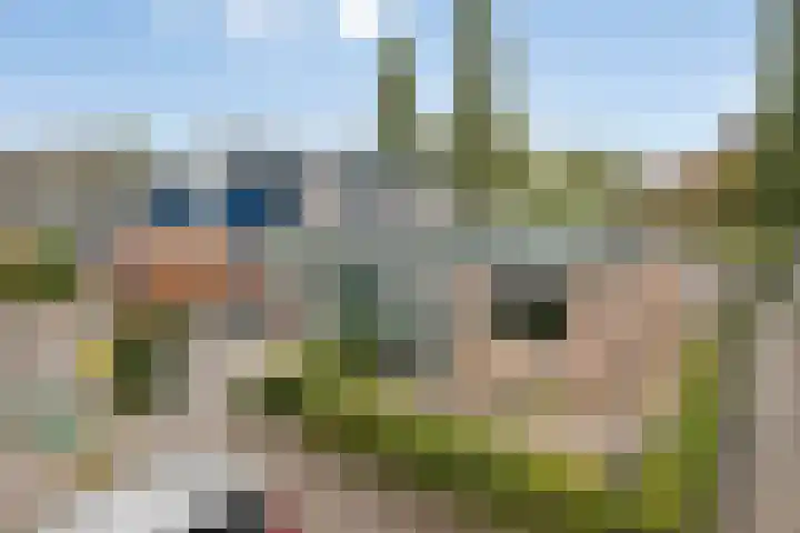 Zandakker 57 Heerde thumbnail 22