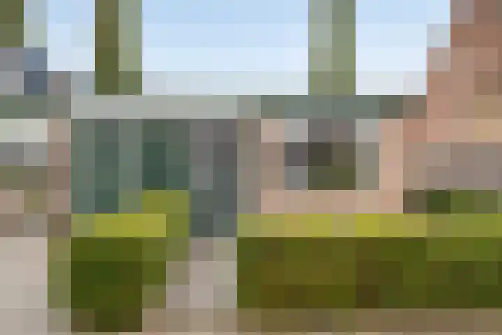 Zandakker 57 Heerde thumbnail 23