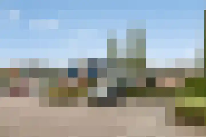 Zandakker 57 Heerde thumbnail 27