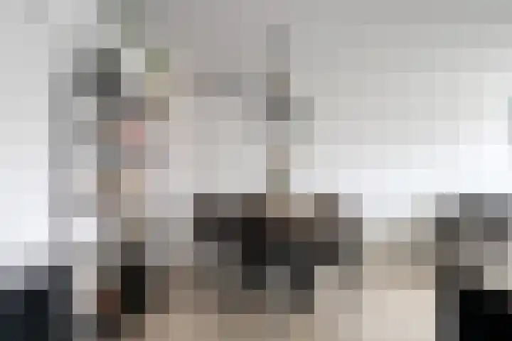 Zandakker 57 Heerde thumbnail 7