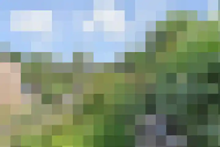 Zandberg 29 Zoetermeer thumbnail 41