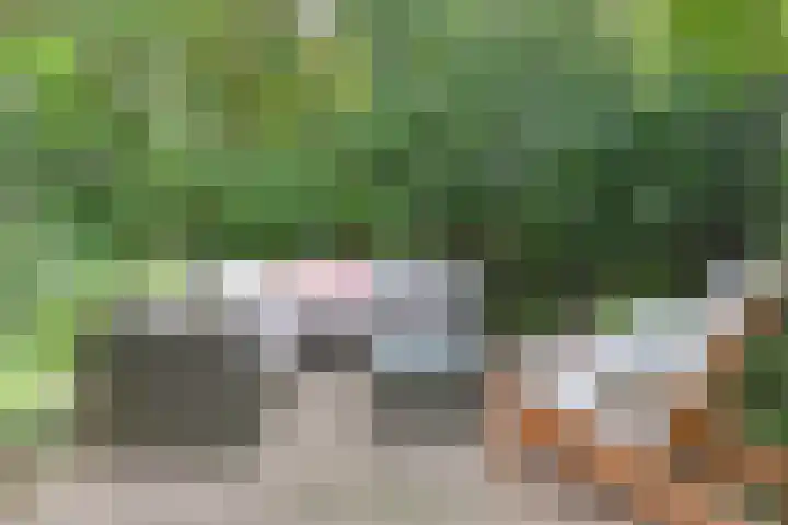 Zandberg 29 Zoetermeer thumbnail 46