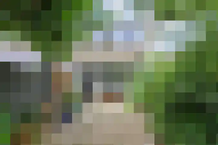 Zandberg 29 Zoetermeer thumbnail 48