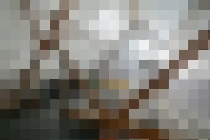 Zandbergpad 2 Breda thumbnail 100