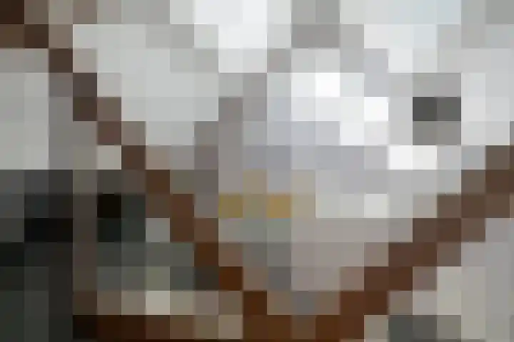 Zandbergpad 2 Breda thumbnail 103