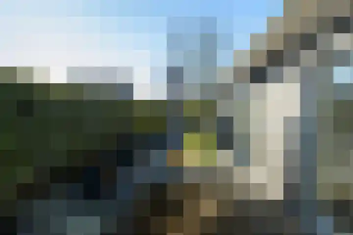 Zandbergpad 2 Breda thumbnail 105