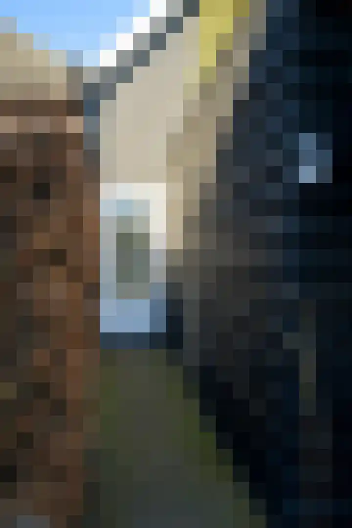 Zandbergpad 2 Breda thumbnail 16