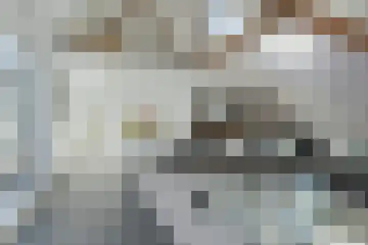 Zandbergpad 2 Breda thumbnail 56