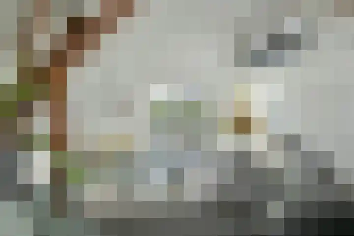 Zandbergpad 2 Breda thumbnail 61