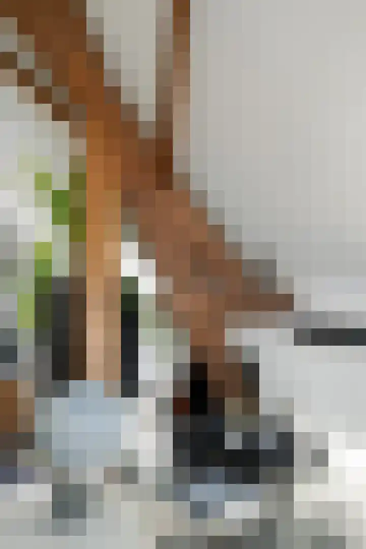 Zandbergpad 2 Breda thumbnail 62