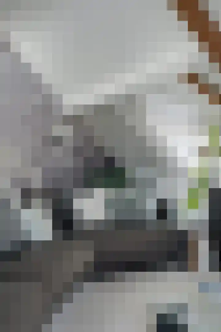 Zandbergpad 2 Breda thumbnail 63