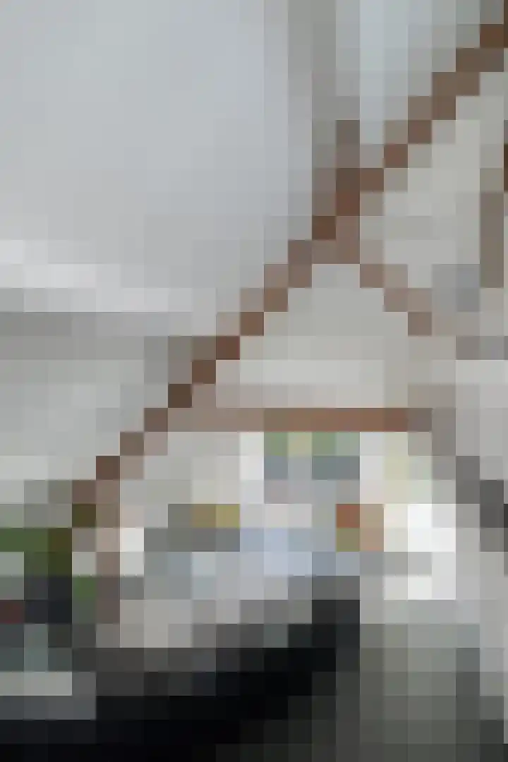 Zandbergpad 2 Breda thumbnail 66