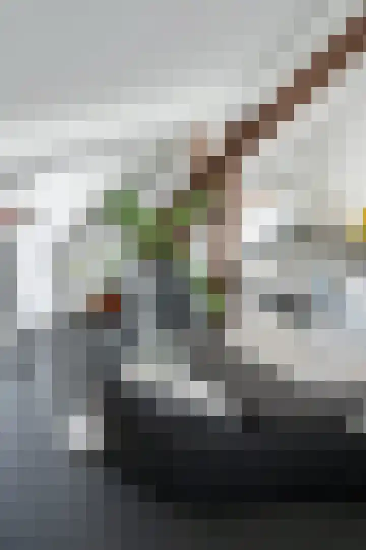 Zandbergpad 2 Breda thumbnail 71