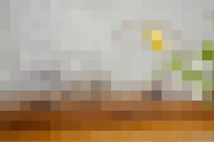 Zandbergpad 2 Breda thumbnail 74
