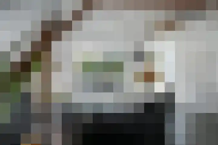 Zandbergpad 2 Breda thumbnail 76