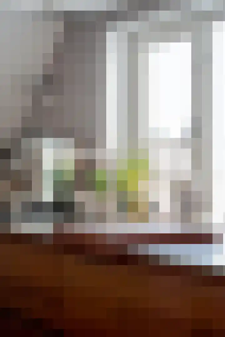 Zandbergpad 2 Breda thumbnail 82