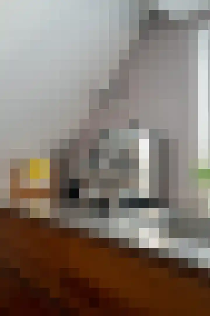 Zandbergpad 2 Breda thumbnail 83