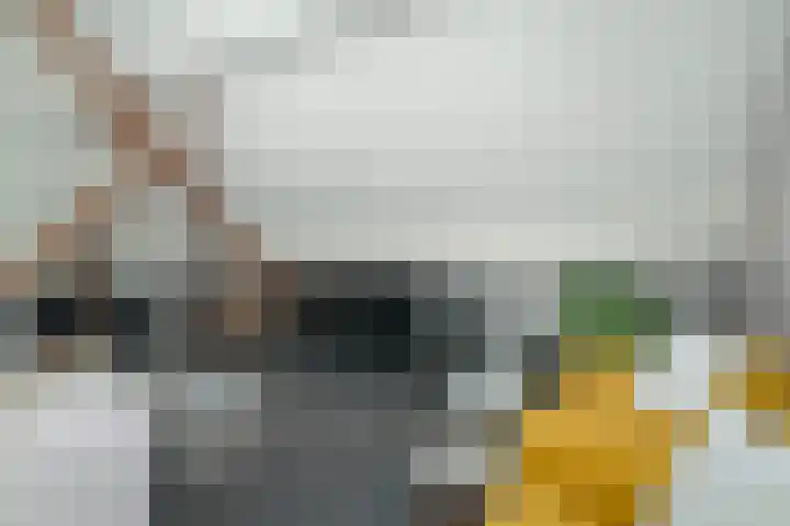 Zandbergpad 2 Breda thumbnail 92
