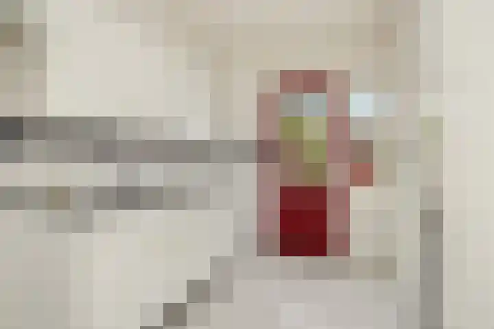 Zandbosweg 62 Deurne thumbnail 12
