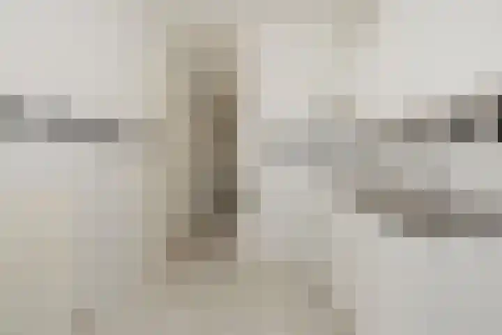 Zandbosweg 62 Deurne thumbnail 13