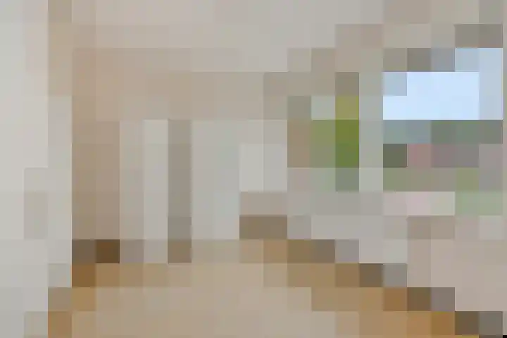 Zandbosweg 62 Deurne thumbnail 15