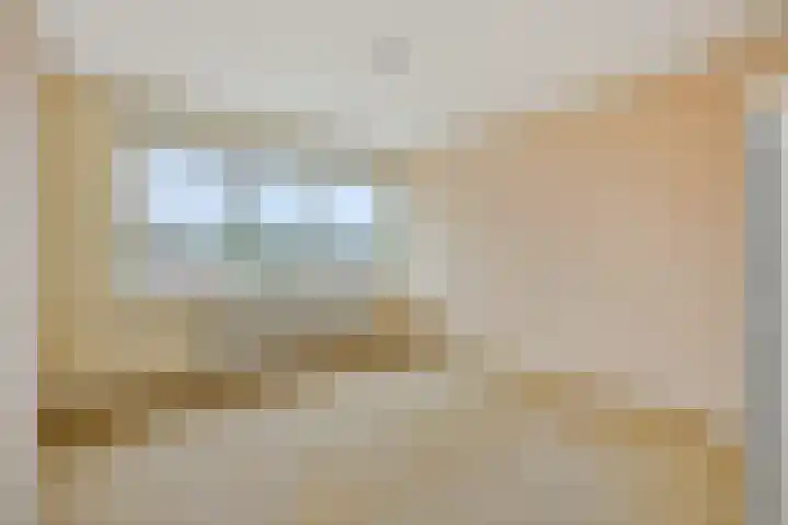 Zandbosweg 62 Deurne thumbnail 16