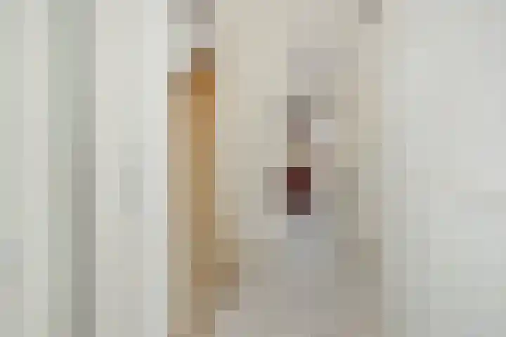 Zandbosweg 62 Deurne thumbnail 7