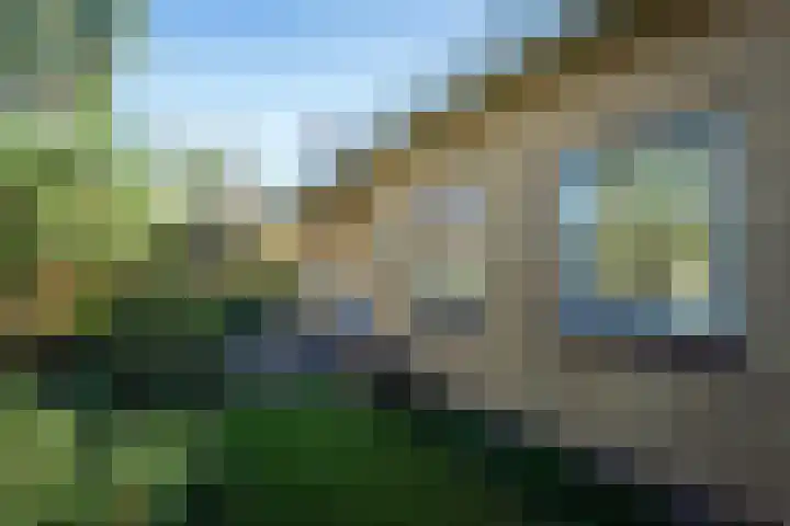 Zanddijk 262 De Cocksdorp thumbnail 31