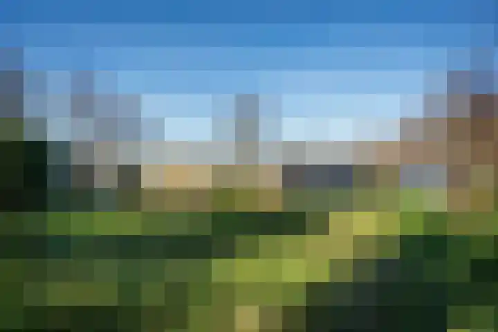 Zanddijk 262 De Cocksdorp thumbnail 6