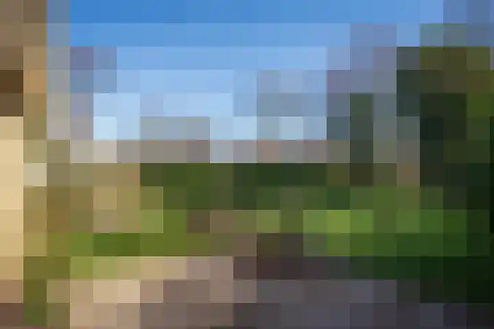 Zanddijk 262 De Cocksdorp thumbnail 8