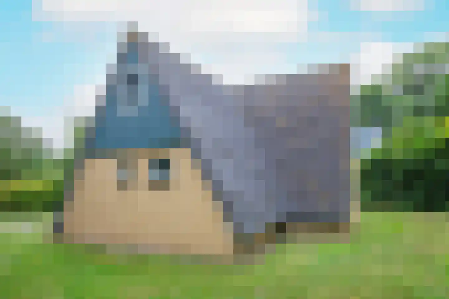 Zanddijk 76 De Cocksdorp thumbnail 28
