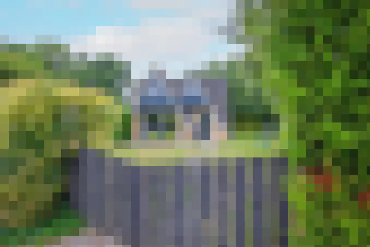 Zanddijk 76 De Cocksdorp thumbnail 33