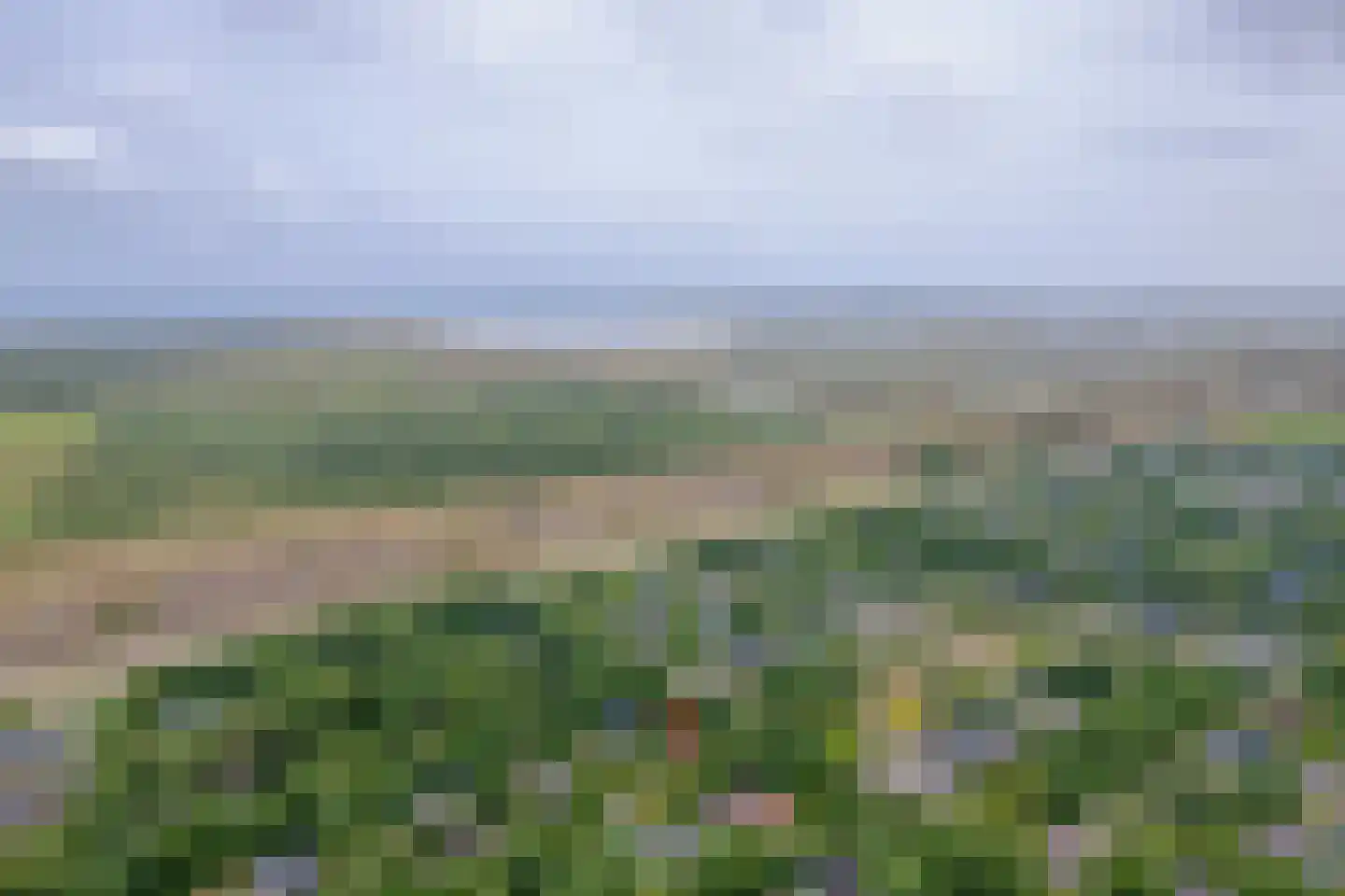 Zanddijk 76 De Cocksdorp thumbnail 35