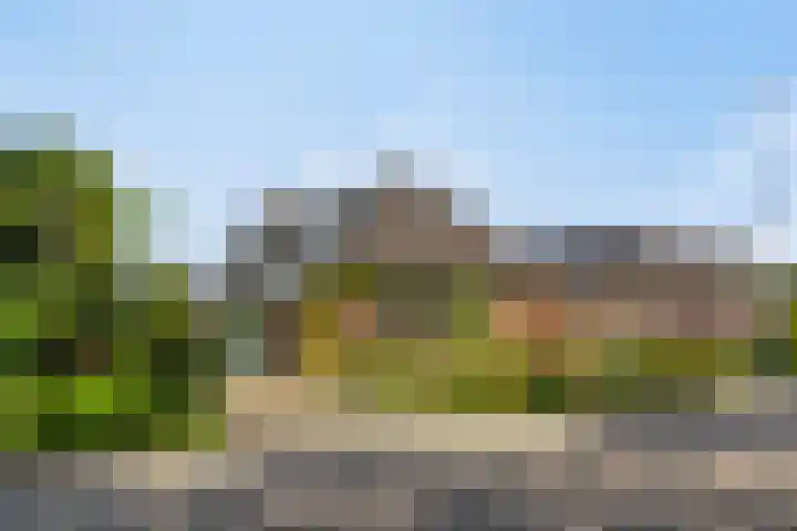 Zandeind 26 Riel thumbnail 11