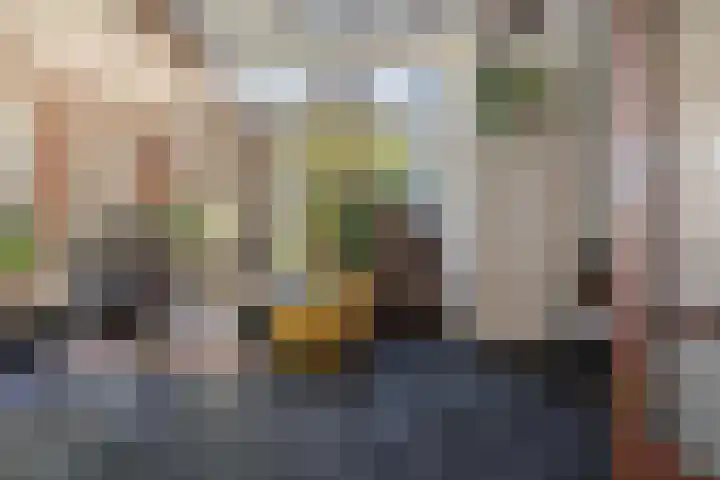 Zandeind 26 Riel thumbnail 16