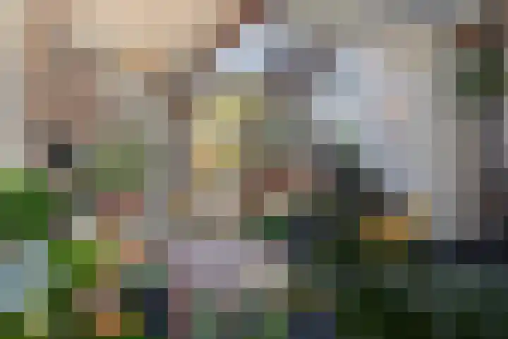 Zandeind 26 Riel thumbnail 17