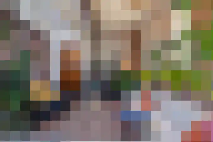 Zandeind 26 Riel thumbnail 19