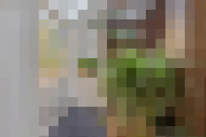 Zandeind 26 Riel thumbnail 20